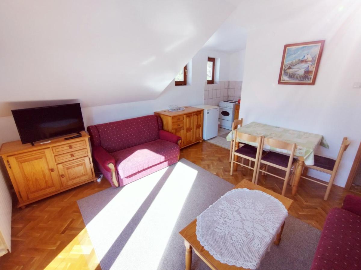 Vila Zoran Zlatibor Zewnętrze zdjęcie